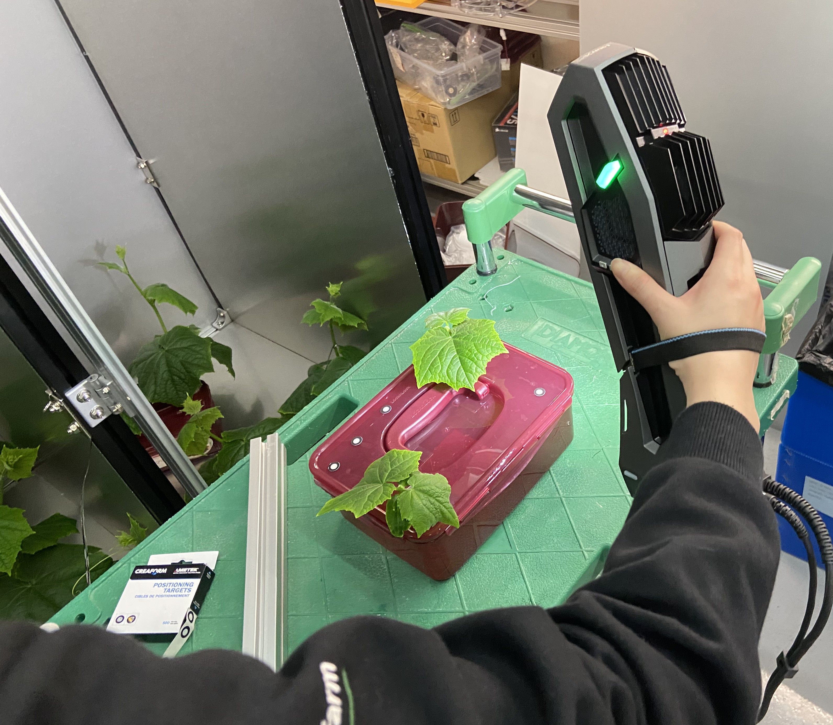 3D scanning of plant with handheld scanner