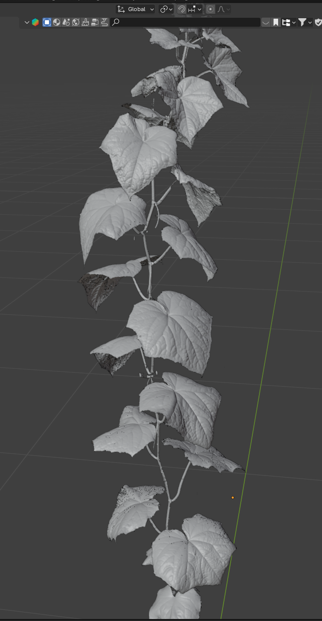 3D scanned cucumber plant mesh in Blender