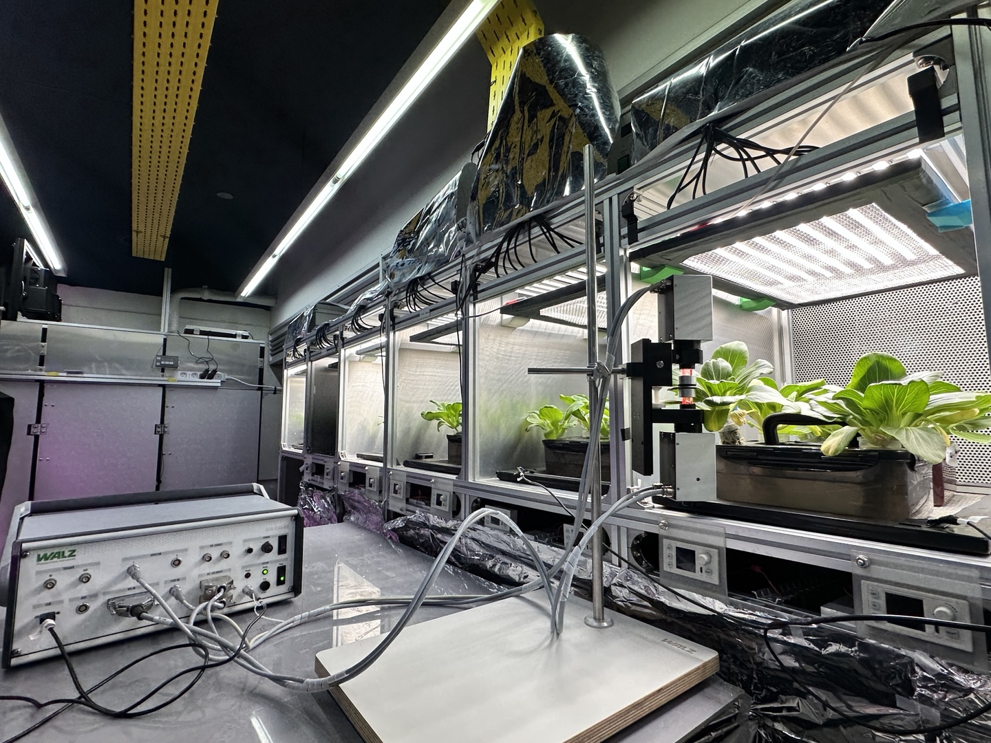Plant factory cultivation chambers with WALZ photosynthesis instrument